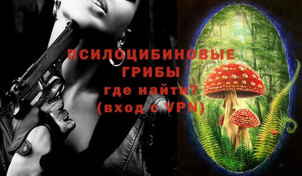 молекула духа Алзамай