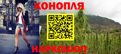 трава Гатчина