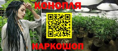 молекула духа Гай