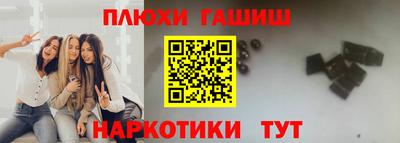 трава Гатчина