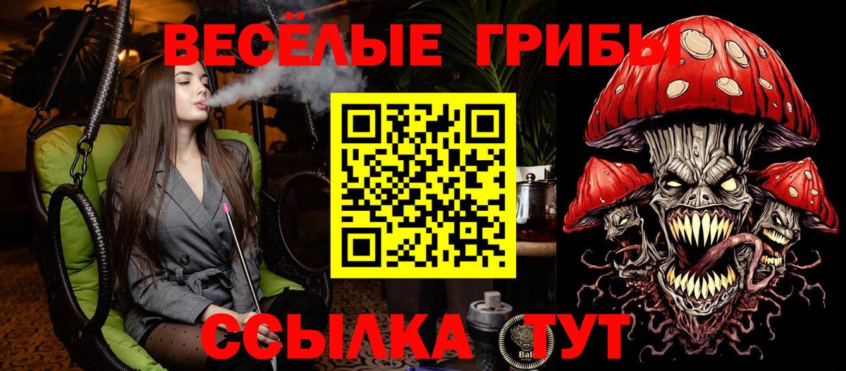 Апшеронск  Галлюциногенные грибы Psilocybine cubensis  Псилоцибиновые грибы Psilocybine cubensis  Вход с VPN 