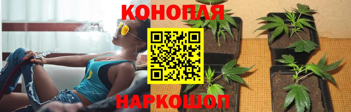 Апшеронск  Бошки Шишки MAZAR  Бошки марихуана Bruce Banner  Вход с VPN 